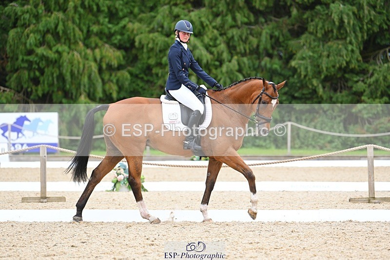 230813-133050-07589 - Cls 13 Medium Bronze 13.15 to End