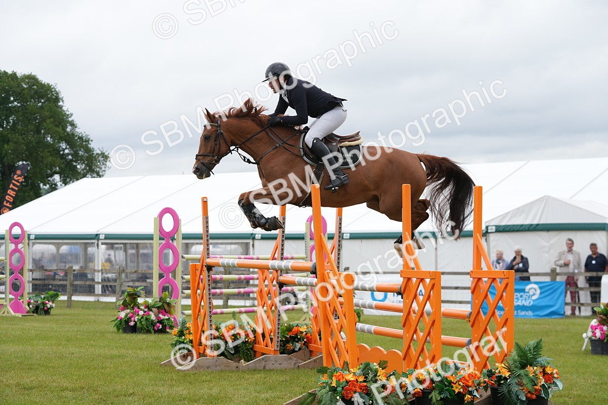 SBM_03031 - Class 201 - British Horse Feeds Speedi Beet Horse of the Year Show Grade  C