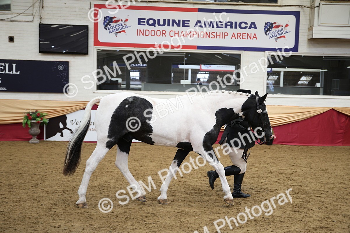 SBM_23411 - Class 904 - Supreme Final Ridden Diamond