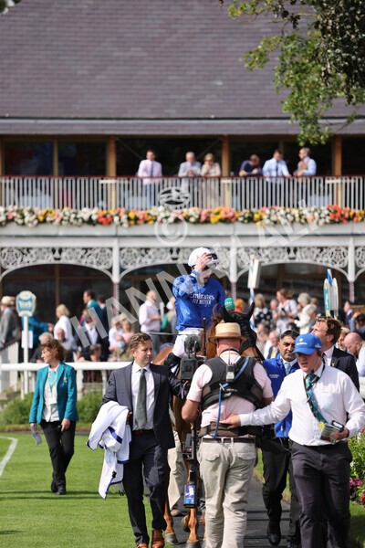 yr18082021r3-86 - Race 3 3.00pm Sky Bet Great Voltigeur Stakes