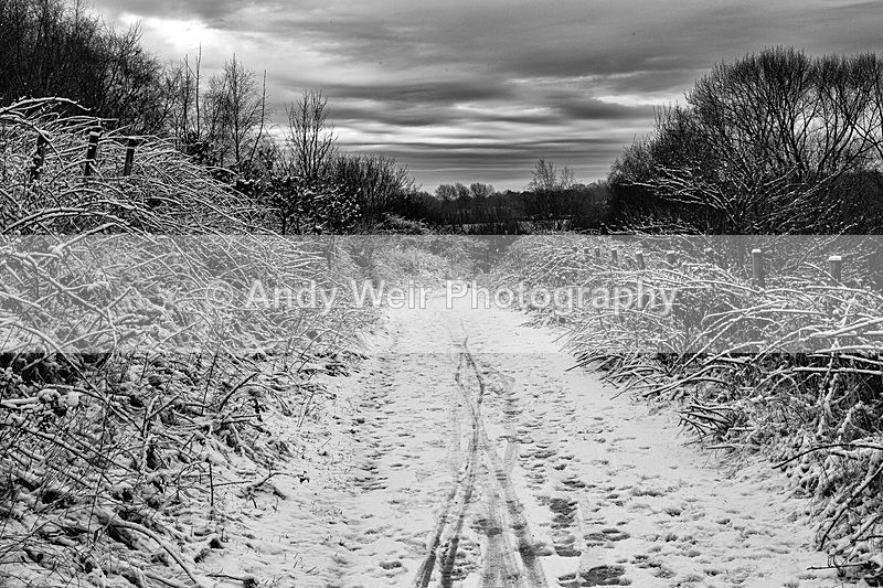 20160117-3K8A2745-3938 - England