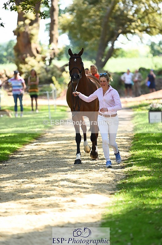 230524-150552-00061 - 381-CAROLINES_AIR_KM-Izzy_Taylor-WEDTrotUp+DR