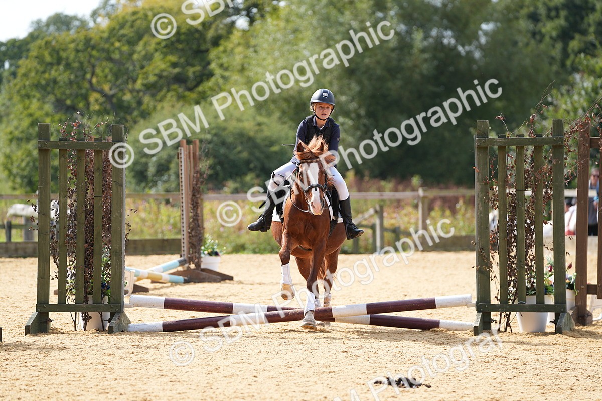 SBM_65808 - J2 - Mini Tour Junior Pony 30cm Championship