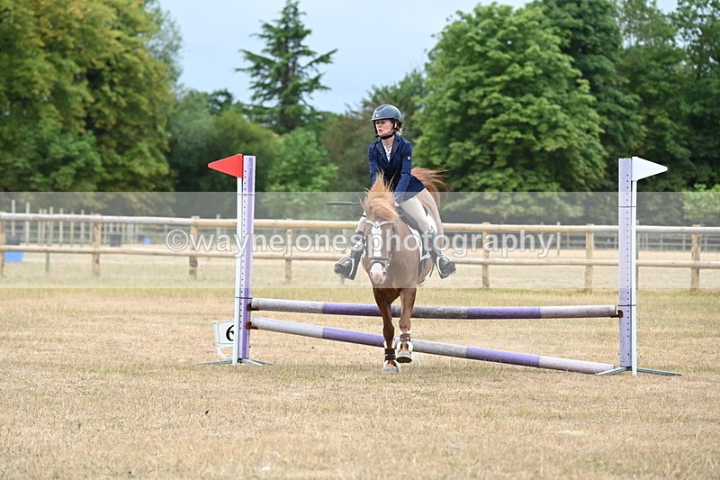 WJ6_0396 - Class 13 Novice Jumping 60cm