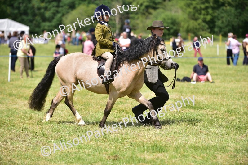 20260614-1242 - Class 11a - Lead Rein Pony (Unplaited)