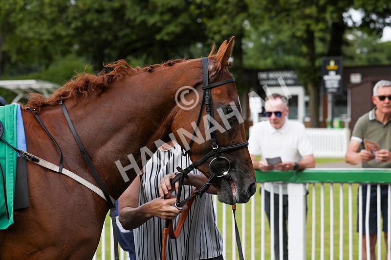 240624-Race 6-Profiteer-0469 - Race 6