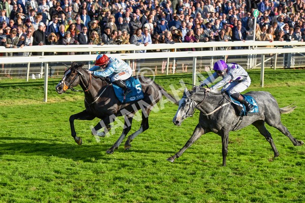 141023-Race 6-Punctuation-1507 - Race 6 4.10pm Coral Get Closer To The Action Handicap