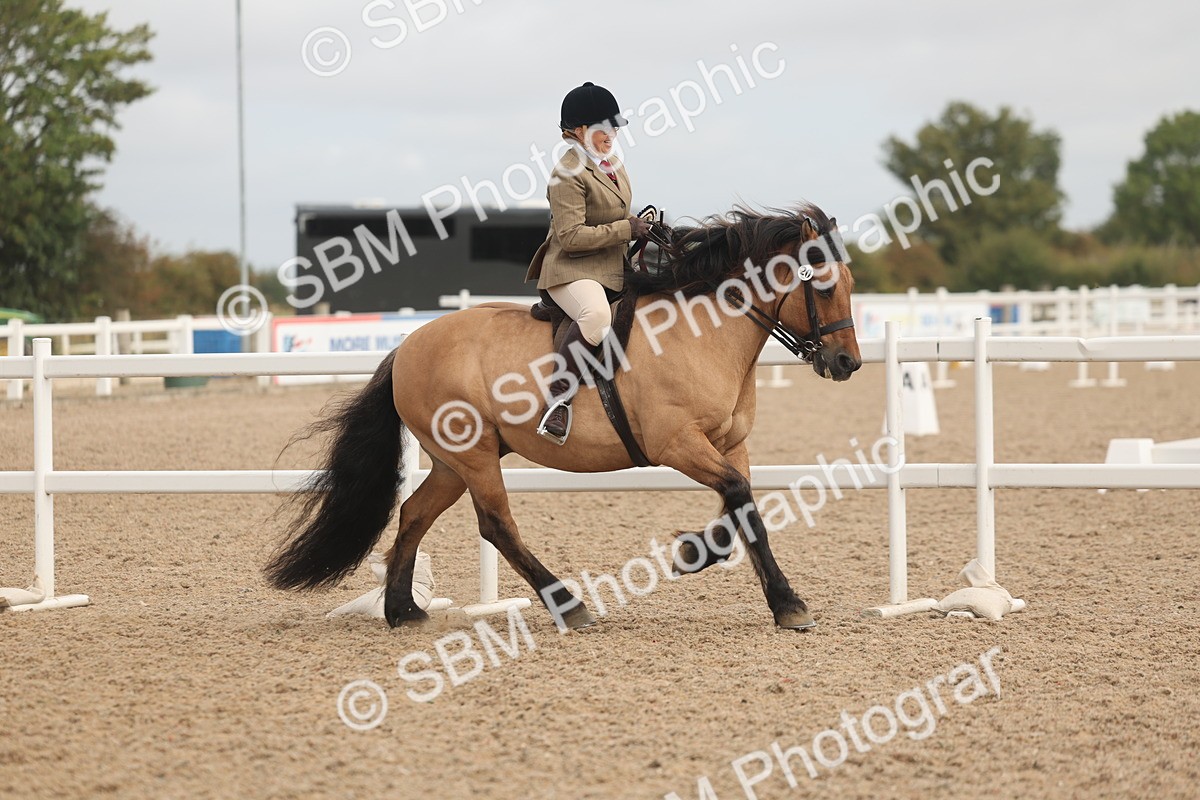 SBM_02037 - Class 14 - Ridden M&M Wildcard