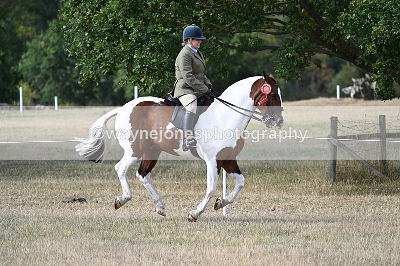 WJ7_7751 - Ridden Championship