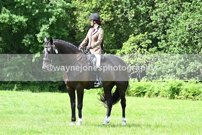 WJ7_1330 - Class 11 Condition & Turnout