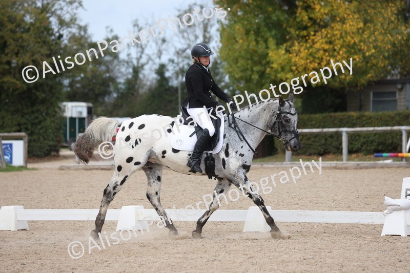 20261010-0706 - Class 6 - Novice 2