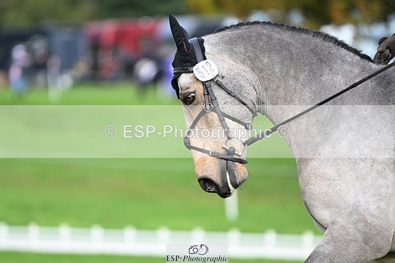 251023A-112313-03540 - G-512-Tilly.Newman-Moore