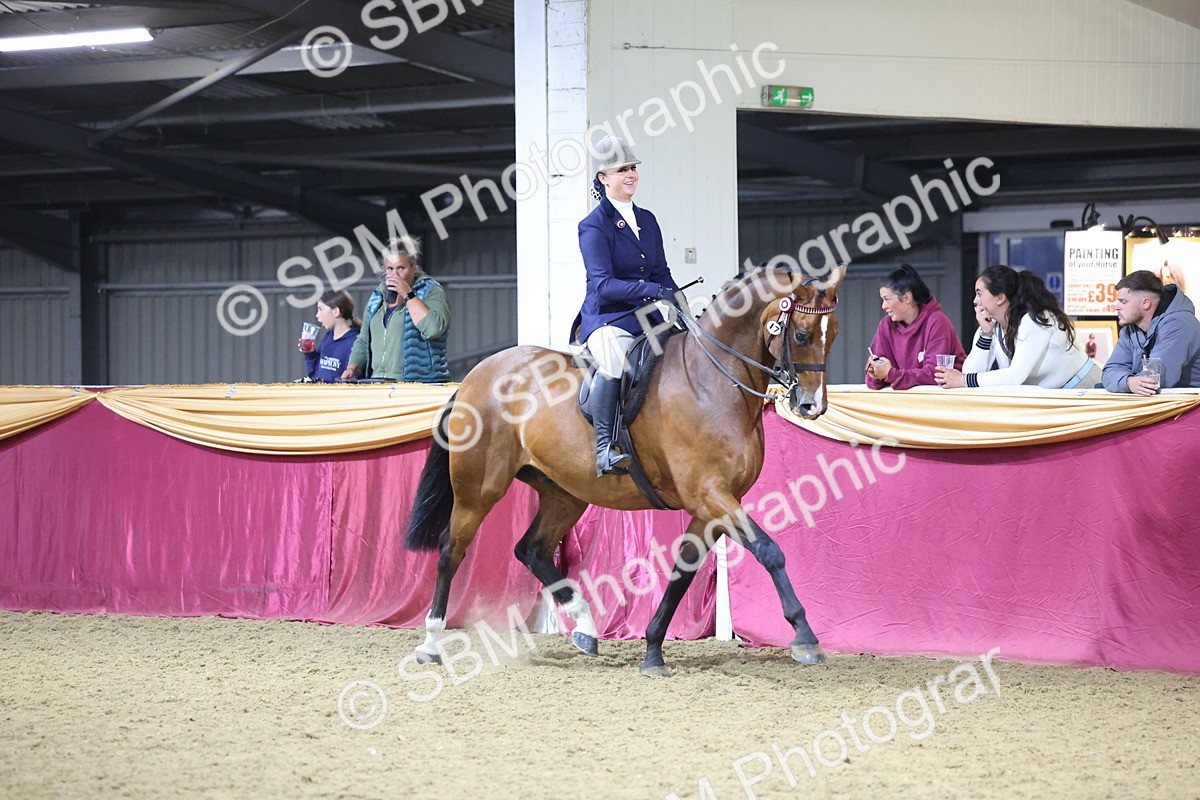 0B8A4461 - Class O Ridden Show Horse Champ