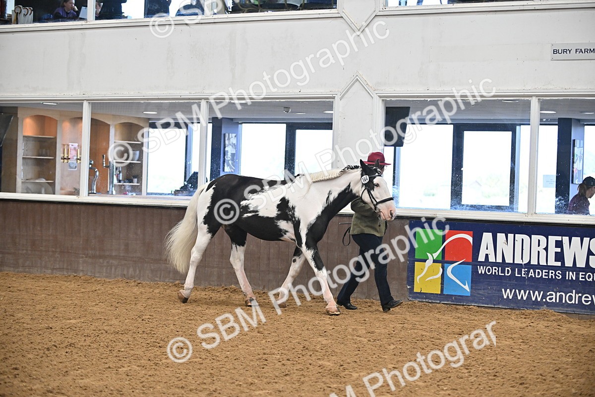 SBM_000277 - Class 10 - In Hand Coloured & Odd Coloured