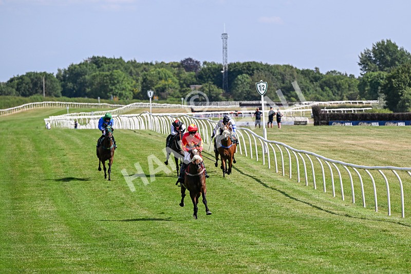 080726-Race 5-Sugarpiehoneybunch-7521 - Race 5 16.00pm Bet At racingtv.com Handicap