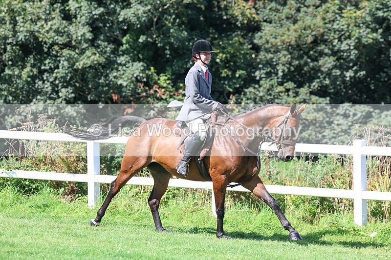 3E7A8379 - Class 4: Novice working Hunter