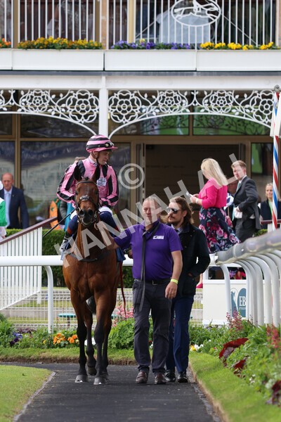 yr22052022r6-28 - Race 6: 6:05pm Sky Bet Sunday Series Stayers Stakes