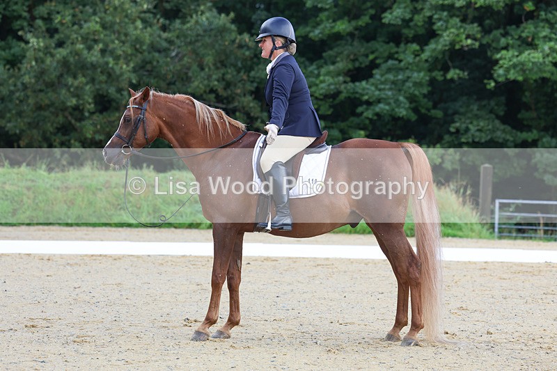 3E7A1943 - Class 1: Intro 4 2024 section A