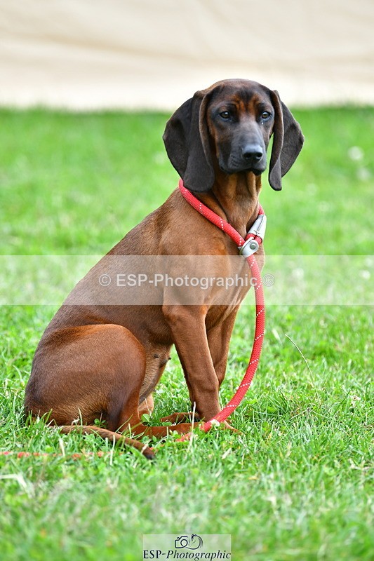 230720A-143050-03545 - Cls 9, 2 Star Big 1.40m Start to break