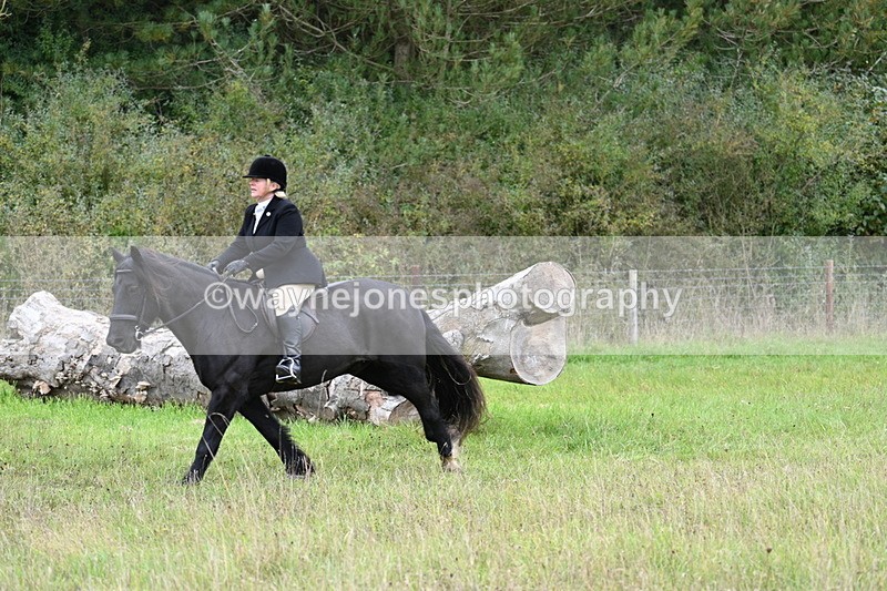 WJ7_3807 - Camera 1 Line 1