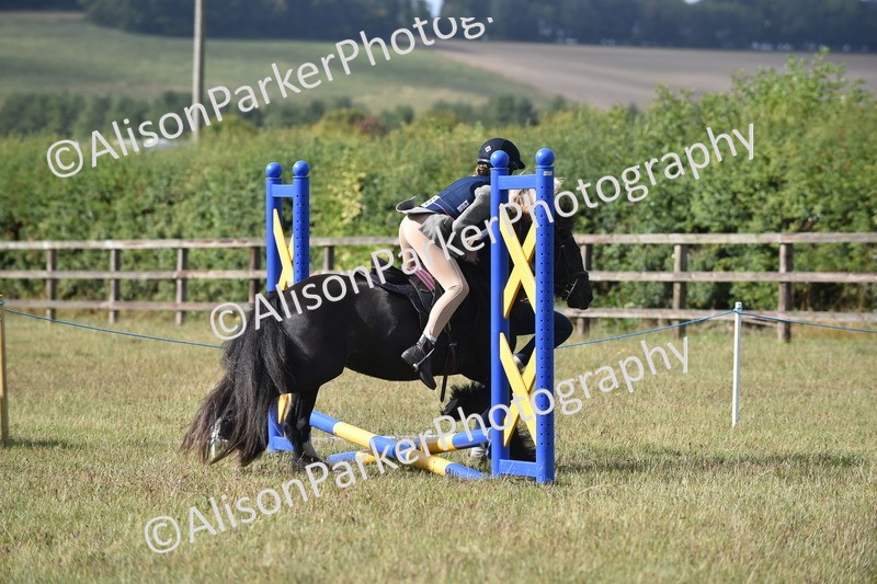 20250831-0395 - Class 6 - Minimus Jumping 30cm