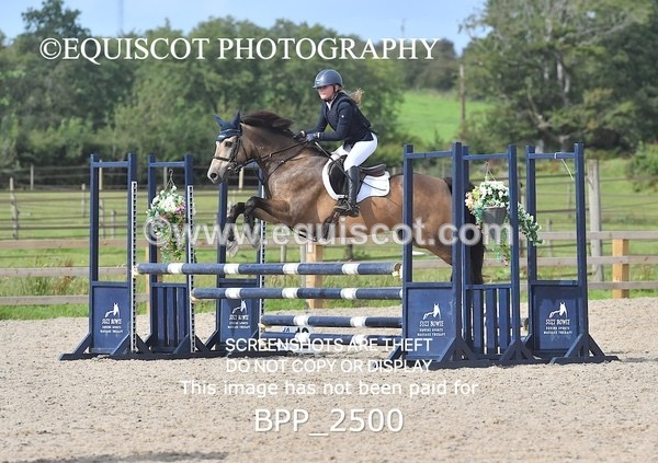 BPP_2500 - DERBY CLASS 7 - 80CM