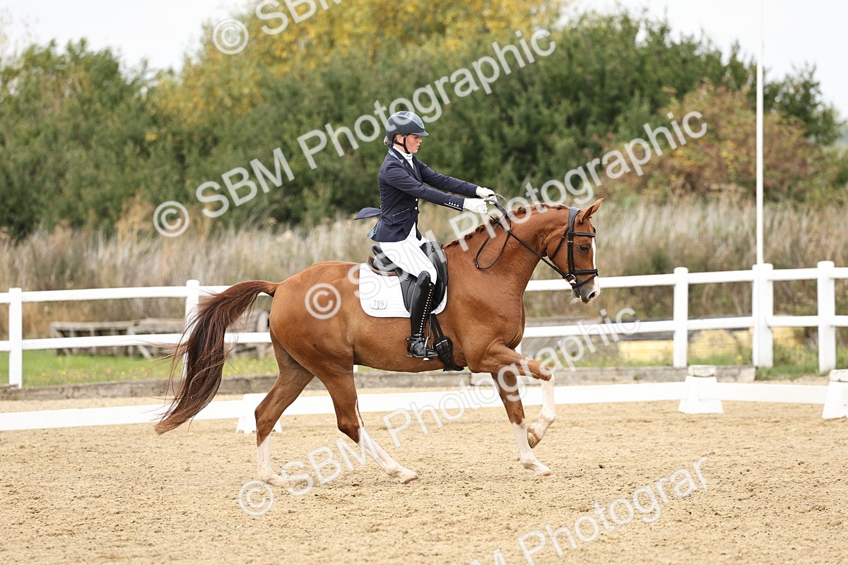 SBM_013124 - Class 3 - Novice 4 - 11.43-12.25
