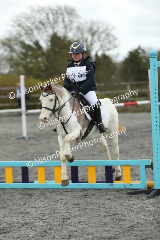 20260412-0678 - Show Jumping