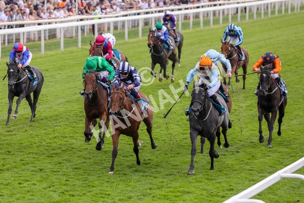 170524-Race 1-Betty Clover-2123 - Race 1 2.15pm Clipper EBF Marygate Fillies' Stakes