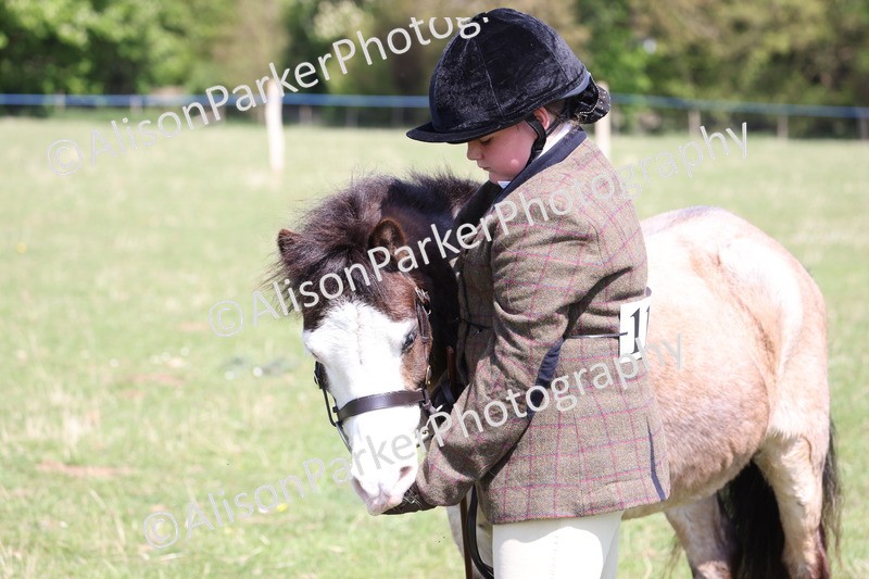 20250427-2988 - Class 27 - Coloured Horse and Pony