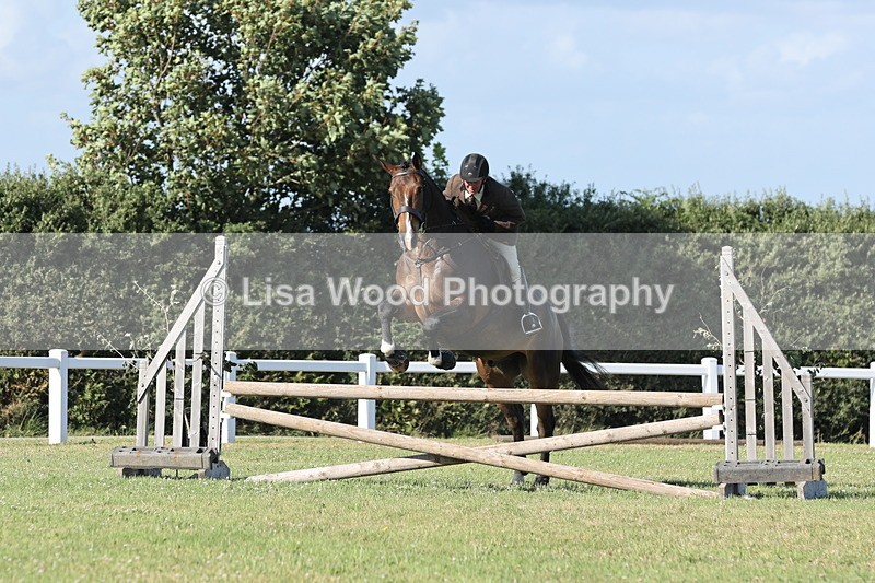 JPP_3076 - Class 21: Working Hunter 80cm