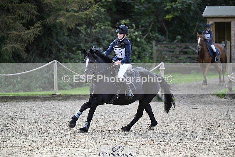 251005A-125915-03991 - Cls 08 Mini 70-75cm