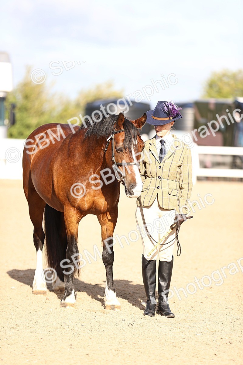 SBM_08530 - Class 402 - IH Veteran Pony