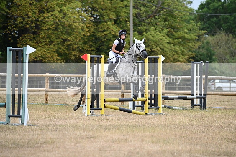 WJ6_0299 - Class 13 Novice Jumping 60cm