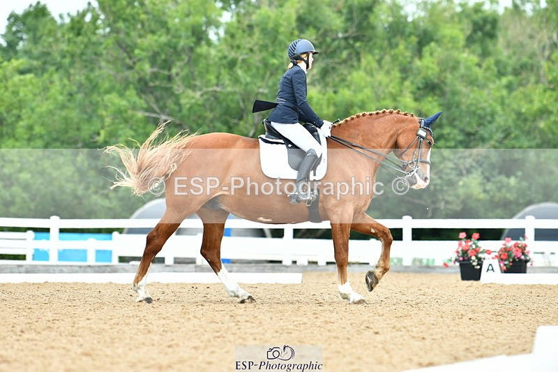 230701A-130208-06210 - Cls 8 Elementary 57