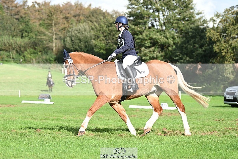 231020-143722-10694 - 499-GORFELYN.PETER.THE.GREAT-Charlotte.Bellamy-DR