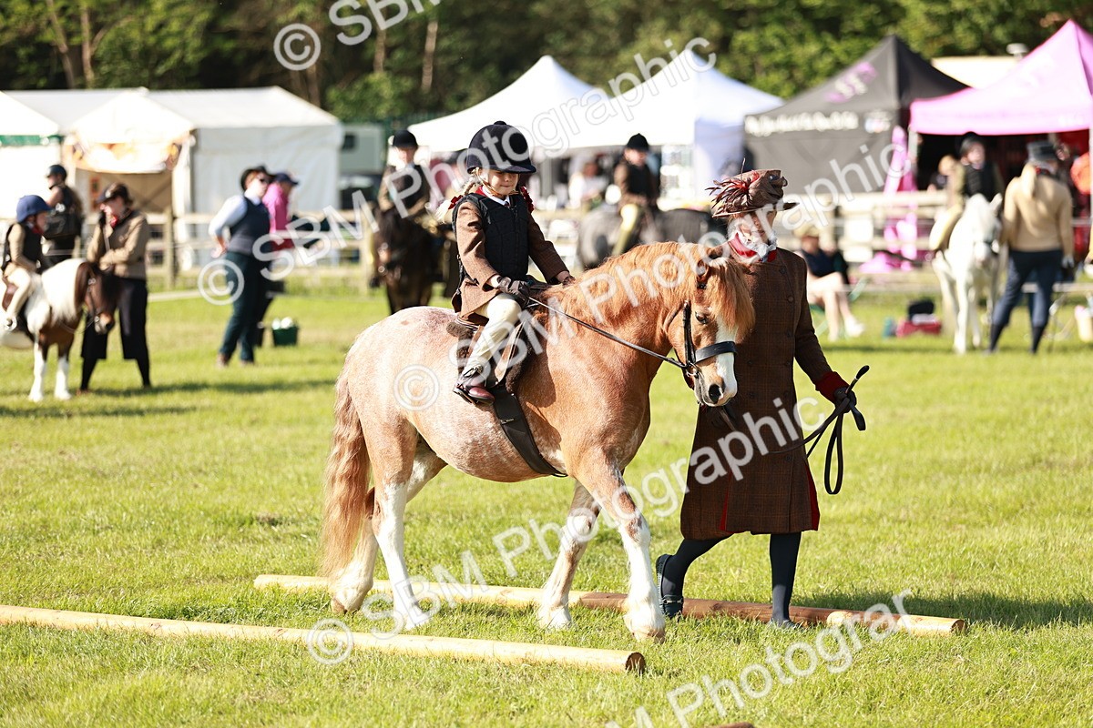 SBM_11195 - Class 106-107 - BSPS LIHS Working Sports Pony