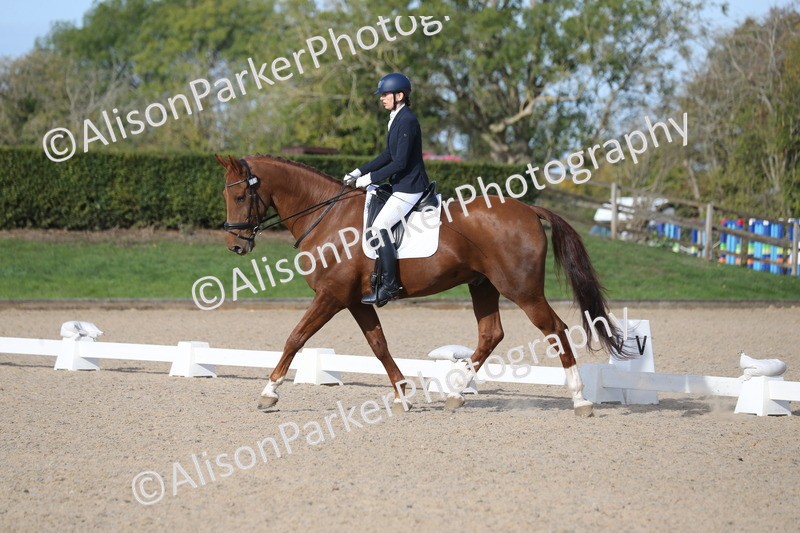 20261011-0262 - Class 4 - Novice 6
