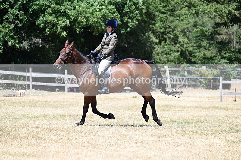 WJ7_3118 - Class 7 Riding Club Show Horse