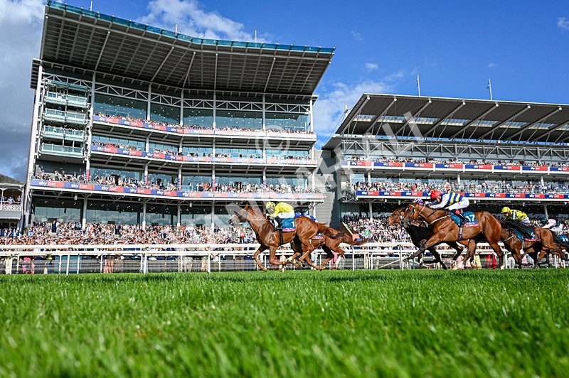 220826-Race 7-Raammee-5869 - Race 7 17.20pm Sky Bet Dav Reid Finale Handicap