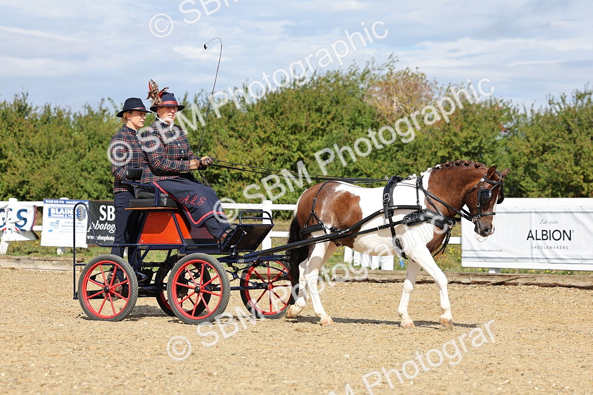 SBM_000873 - Class 8 - Novice Horse or Pony to any vehicle