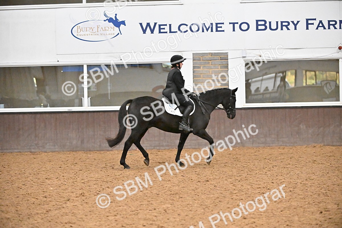 SBM_002979 - Class 37,38 - UKPSAF Performance Horse & Pony