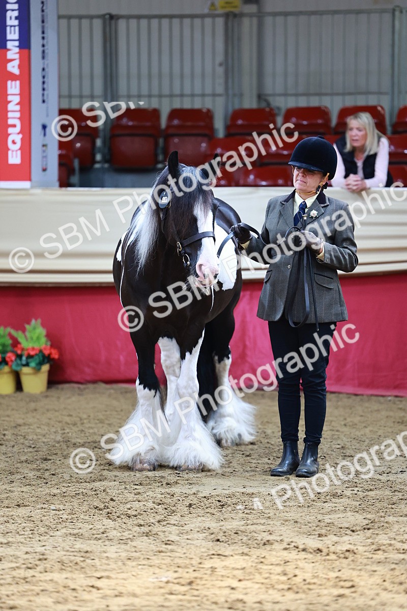SBM_23145 - Class 903 - Supreme Final - IH Pre Vet