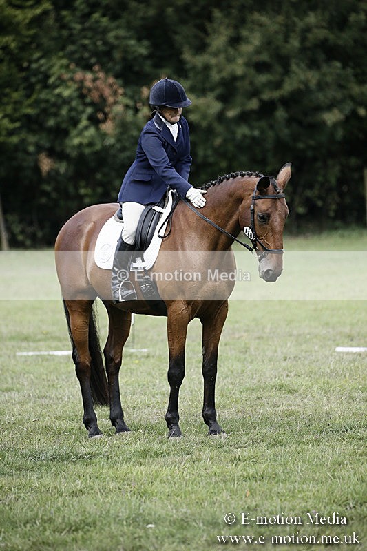 BVR090918 274 - BVRC Dressage and Show Jumping 09/09/18