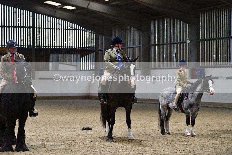 WJ5_8718 - Class 14 Novice Ridden/Rider