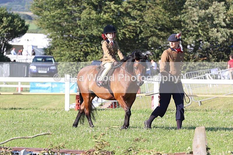 JPP_0661 - Class 16: Cornish Combination Leading Rein