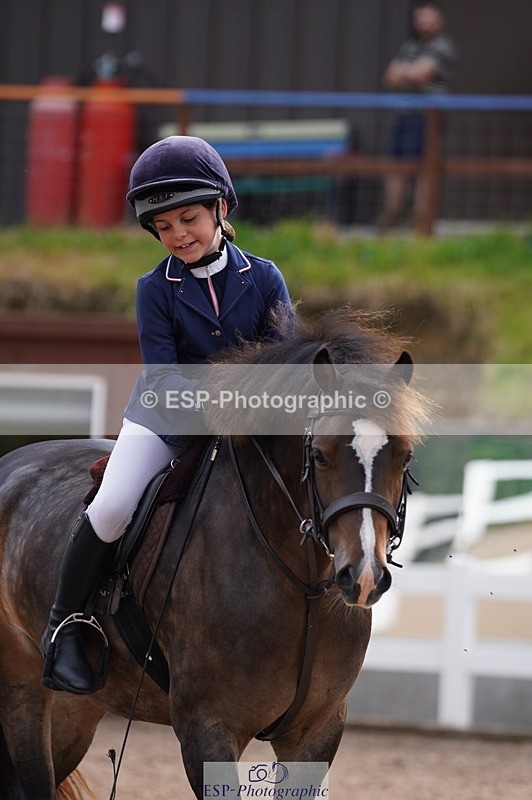 240809A-100140-00403 - Dressage Competition