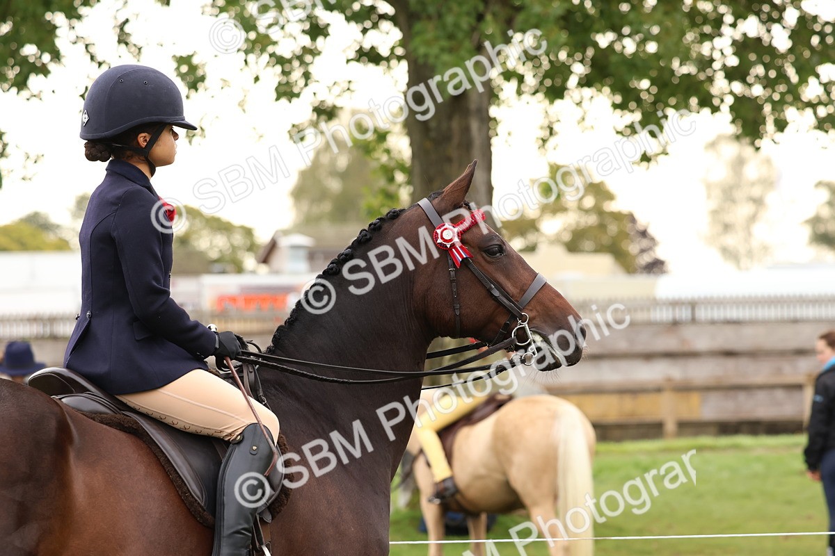 SBM_56722 - S40 - Starters Ridden Showing