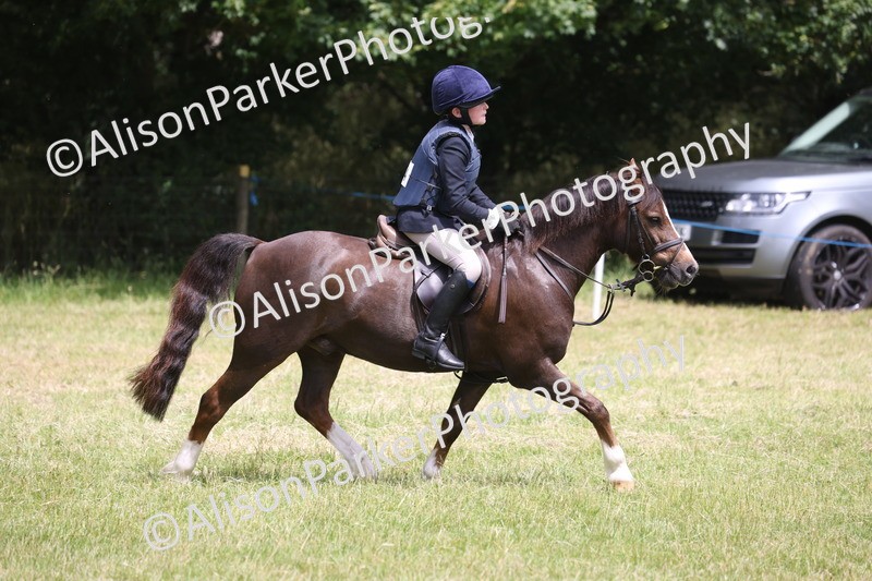 20260614-2792 - Class 22 - Open Working Hunter