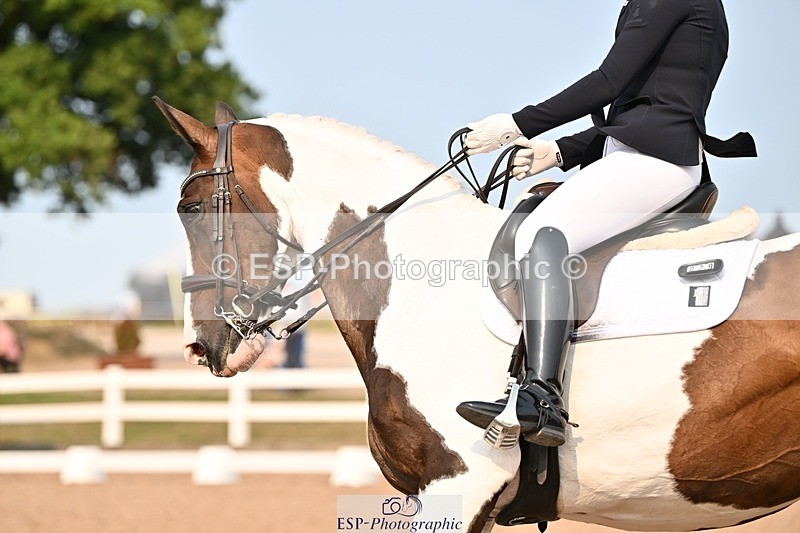 250816-165052-06498 - 029-Molly.BennettGemini.VII